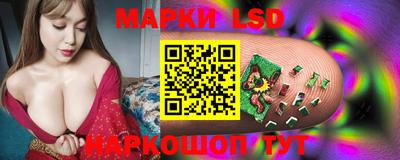 твердый Новозыбков