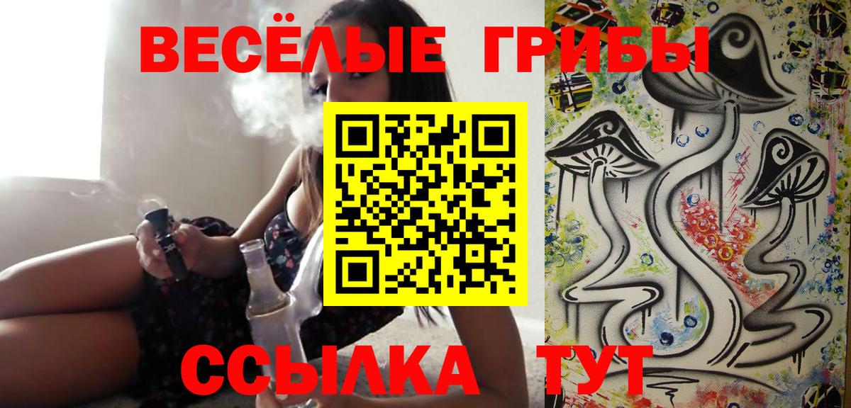 Галлюциногенные грибы GOLDEN TEACHER  Вход с VPN  Тамбов 