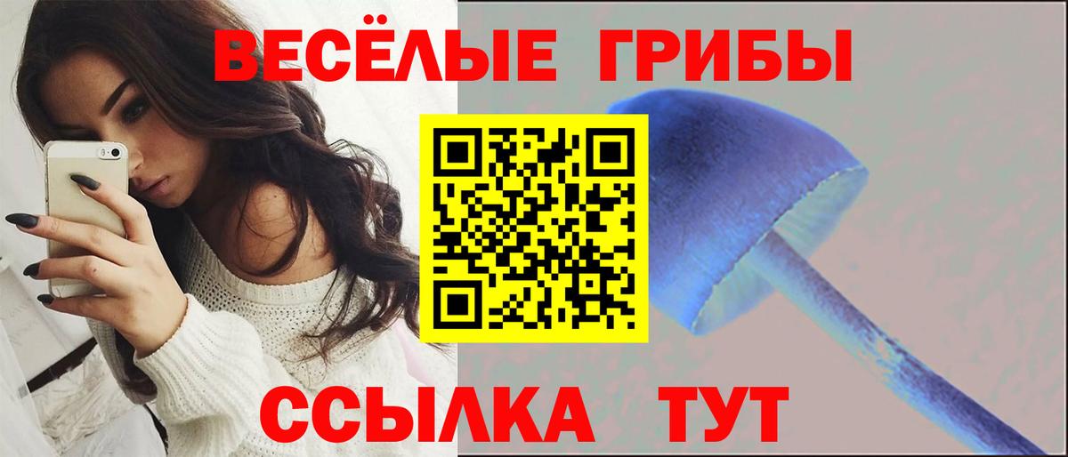 Галлюциногенные грибы прущие грибы Тамбов